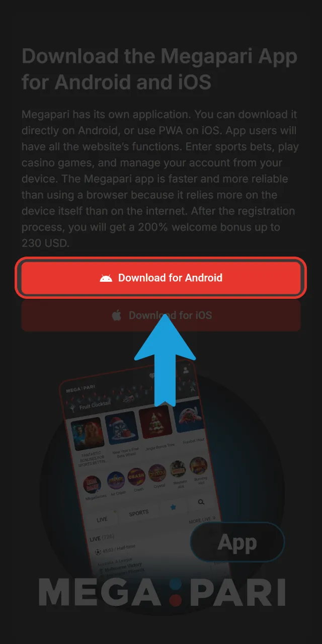 Visit the official Megapari website to find the application page.