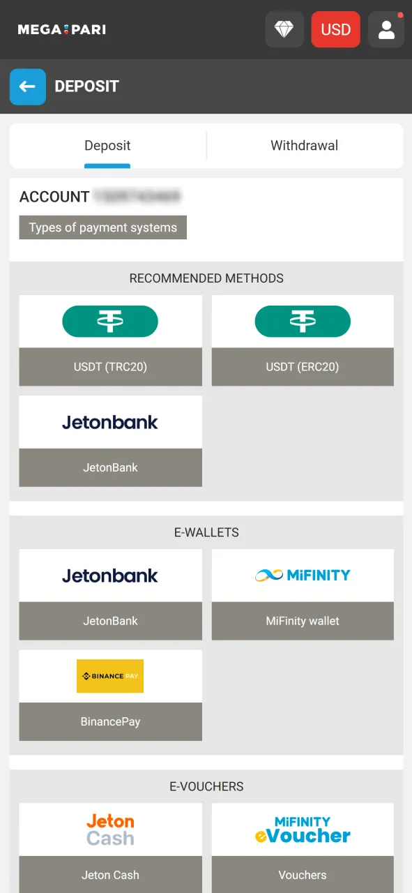 Select a trusted payment method on the official Megapari website.