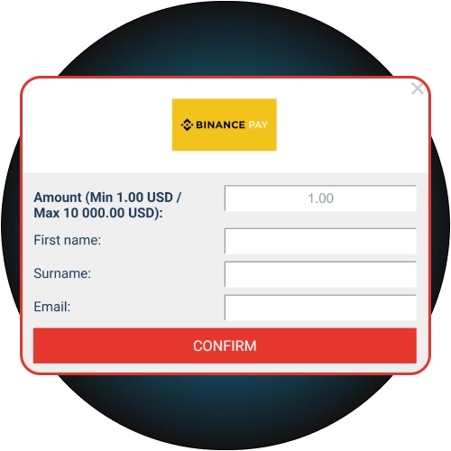 Utilize diverse secure payment systems on the official Megapari platform.