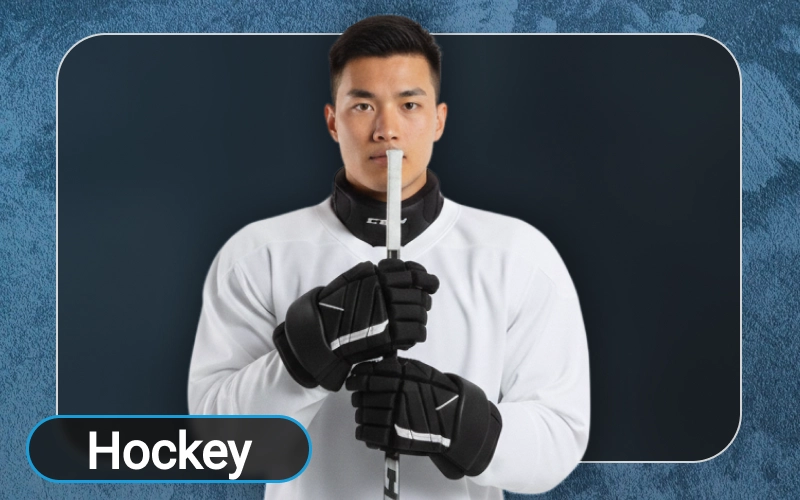 Bet on global ice hockey championships at official Megapari website.