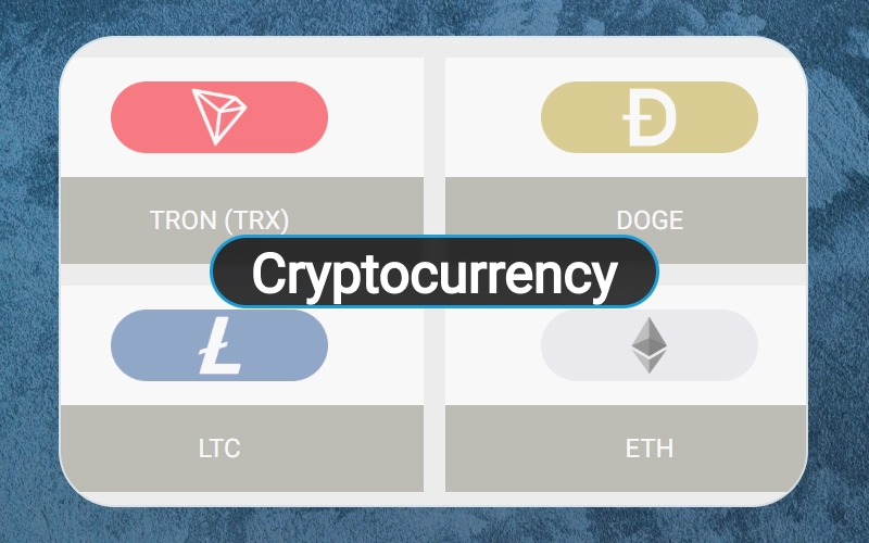 Process private cryptocurrency payments on the official Megapari gaming platform.