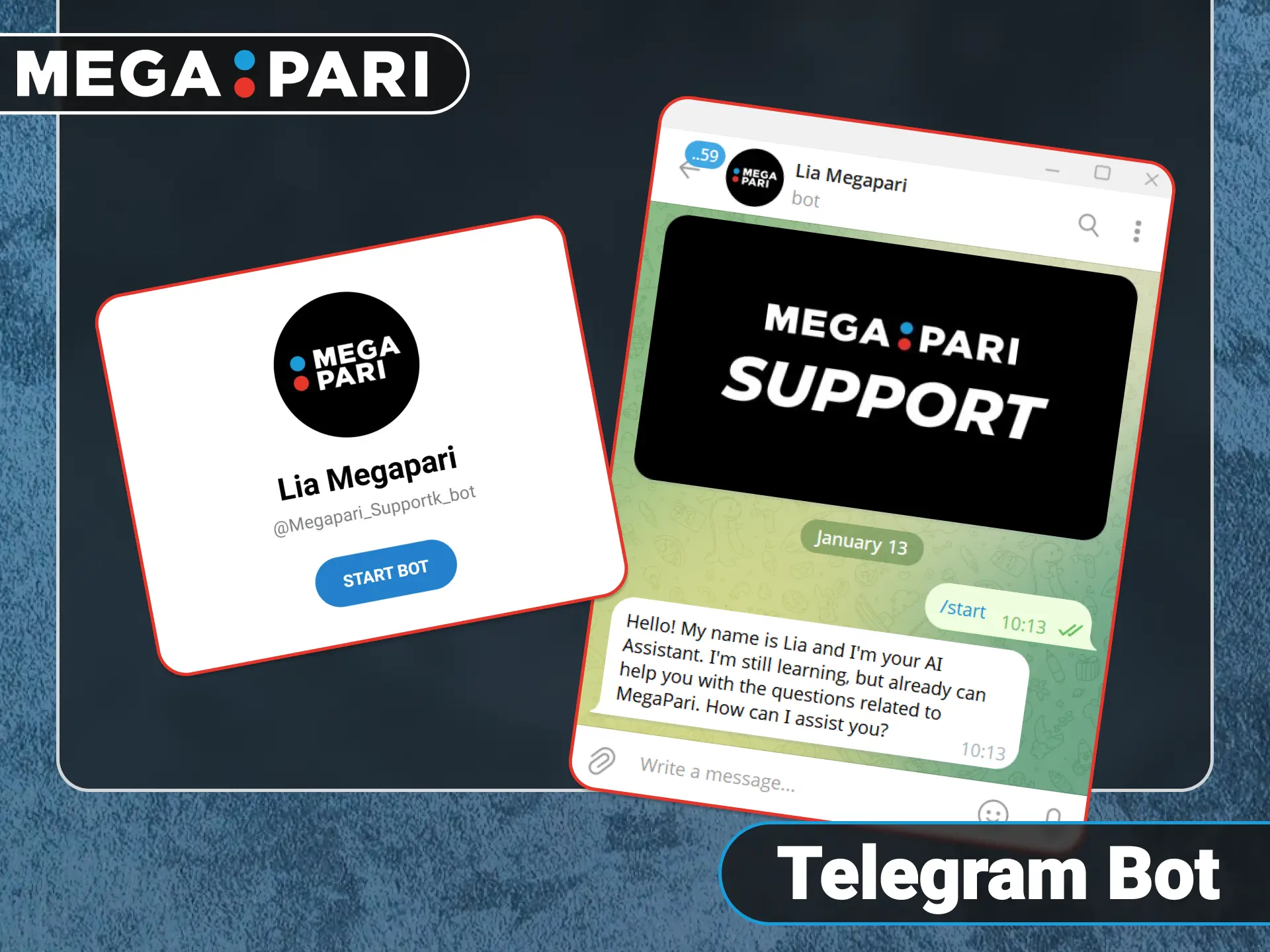 Get automated help through the official Megapari Telegram support bot.