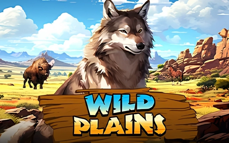 Hunt for big bingo prizes on the official Megapari platform.