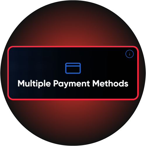 Access multiple secure payment methods designed to facilitate easy transactions for Megapari agents and their clients.